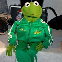 kermit the frog adidas jacket