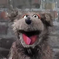 "Animal Confessions" dog