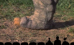 Mst3k mountain big bird
