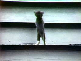 Song.trying.jpg (268 KB) "Trying Song"