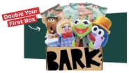 Bark toys.jpg (711 KB)
