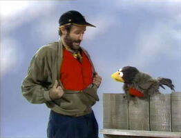 robin in Robin and Robin