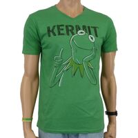 Logoshirt 2011 kermit face