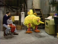 123Basement-1159.jpg (165 KB) The basement as seen in Episode 1159