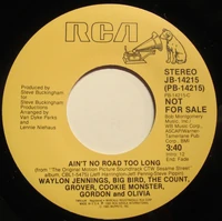 AintNoRoadTooLongPromo