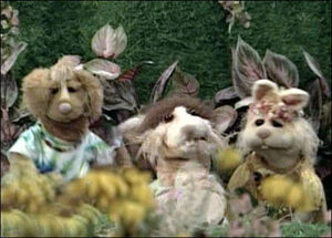 Bear-rabbits