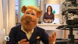 Link introduces "Beauty's Most Wanted"