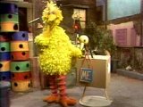 Big Bird Sketches: Sesame Street