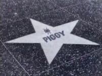 Baby piggys star