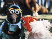 Gonzo and Camilla