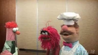 Muppets-com36