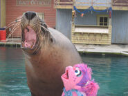 Abby Cadabby at Sea World Gold Coast