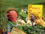 Kermit News: Peter Piper (First: Episode 1342)