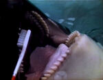 "Whale Brushing Teeth" (holdover from season 2)