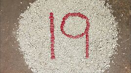 19Pebbles.jpg (798 KB) 19 (First: Episode 4235)