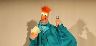 The Webby Awards (2009)