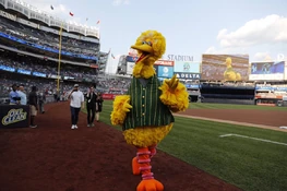 YankeeStadium-BB.jpg (182 KB) Big Bird waves to the crowd on the field of Yankee Stadium, 2019