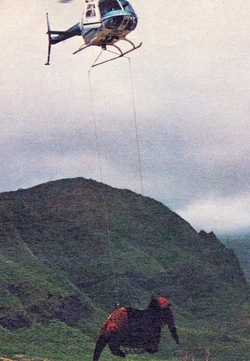 1091-SnuffyNet1.jpg (249 KB)