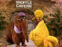 Episode 1494Snuffy's mommy answers the door when Big Bird visits the cave for the first time (and is surprised to meet Big Bird, having thought he was Snuffy's imaginary friend), and later calls the two over to have dinner.