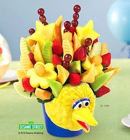 "Big Bird Celebration"