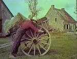 George's Farm: Around