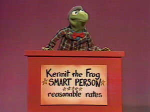 Kermit-SmartPerson