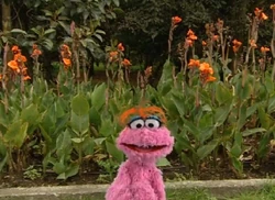 LolaAventuraGarden