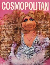 "Cosmopolitan" 1981 Scandecor