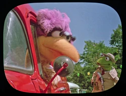 Reporter Kermit Follow That Bird