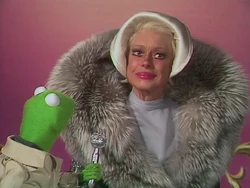 Reporter Kermit TMS423