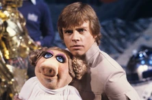 Knights | Muppet Wiki | Fandom