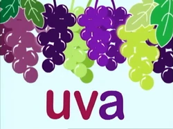 Uva