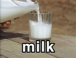 Film-MILK
