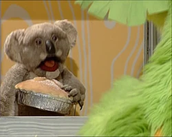 Guy from Mopatop's Shop