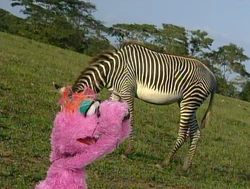 LolaAdventurasSafari2