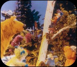 Bear in the Big Blue House View-Master reels, Muppet Wiki