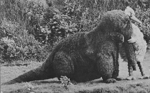 1091-SnuffyBBReunite.jpg (434 KB)