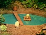 1800-8.jpg (125 KB) Rocks - Pond Crossing (First: Episode 1459)