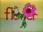 F - Flower