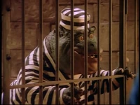 Earl Sinclair goes to jail ("The Big House") for copyright infringement in the Dinosaurs episode "Georgie Must Die."