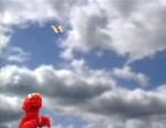 ElmoButterfly5.jpg (50 KB) Elmo and the Butterfly, Part 5