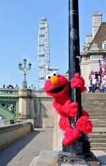 Elmo London 3