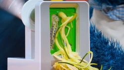 FoodieTruck-Zucchini02
