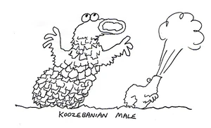 Jim Henson's original concept sketch for the Koozebanian male (1973)