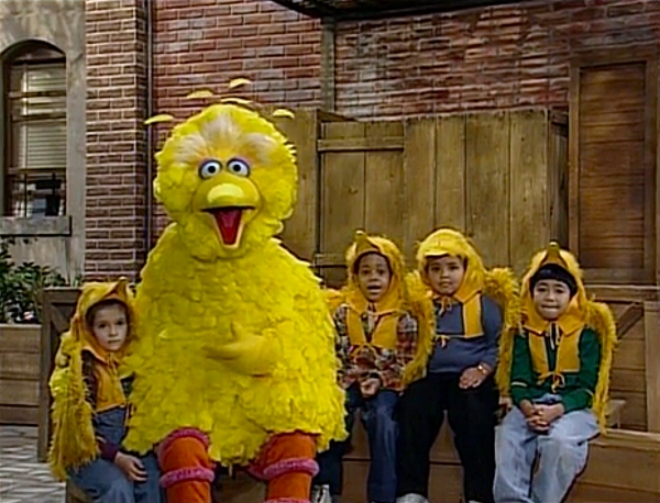 Episode 3911 | Muppet Wiki | Fandom