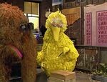 Big Bird and Snuffy: Elephant Magic Trick