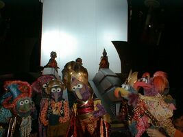 Gonzo species2.jpg (171 KB)