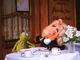 Muppet placemats (Igel)