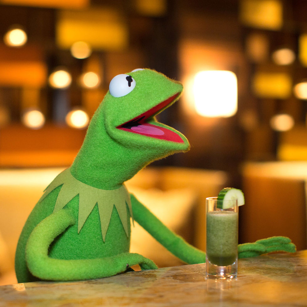 kermit the frog drinking milk