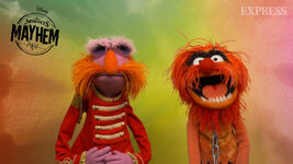 Floyd and Animal on Daily Express (YouTube) May 10, 2023